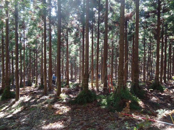 大船渡・釜石支部