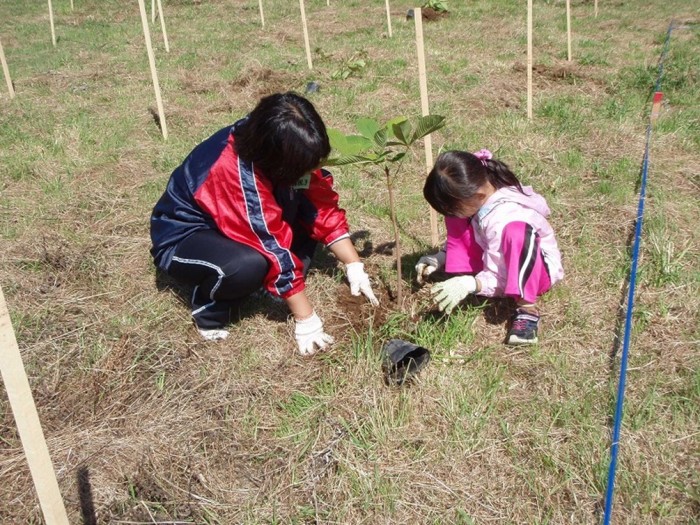 平成24年度　環境リレーションズ研究所　植樹