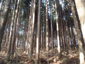 施工地：一関市狐禅寺字草ヶ沢