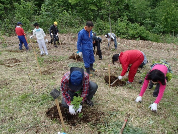 平成26年度　富士通　植樹