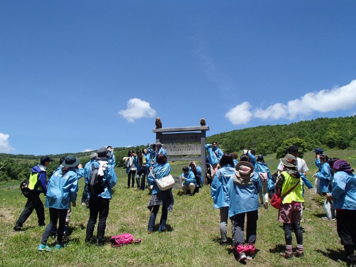 平成27年度　西武・そごう　植樹