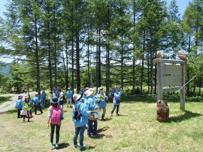 平成27年度　西武・そごう　植樹